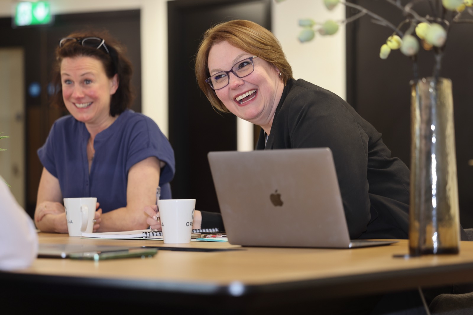 Two colleagues sharing a laugh over a laptop during a career conversation.